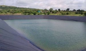 Pond Liner Tarpaulin