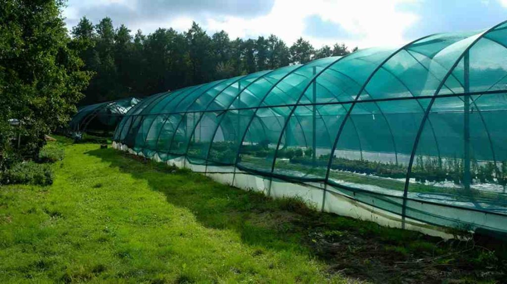 Agriculture Shade Nets