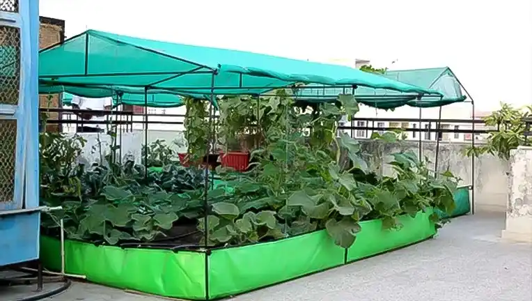 Best Solution For Smart Urban Agriculture