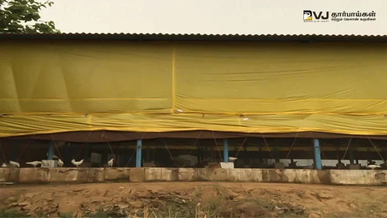 Improved Ventilation And Airflow in Tarpaulin Poultry Houses