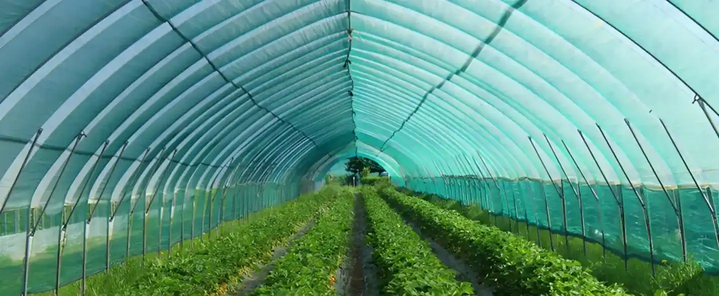 Shade Net Cover